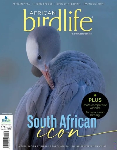 African Birdlife - November-December 2025