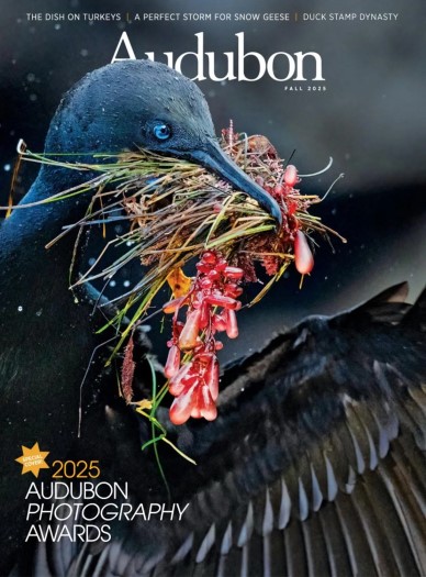 Audubon Magazine - Fall 2025