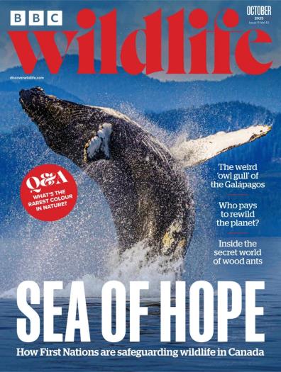 BBC Wildlife - October 2025
