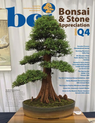 BCI Bonsai & Stone Appreciation Magazine - Issue 4 2025