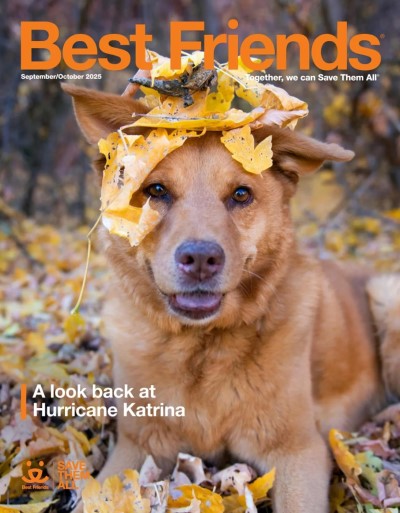 Best Friends - September-October 2025