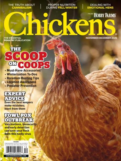Chickens - November-December 2025