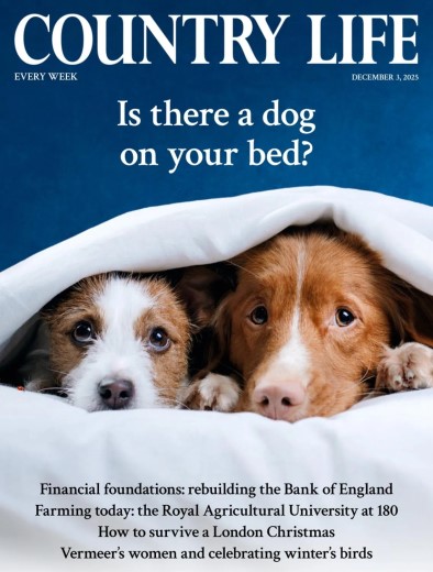 Country Life UK - December 3, 2025