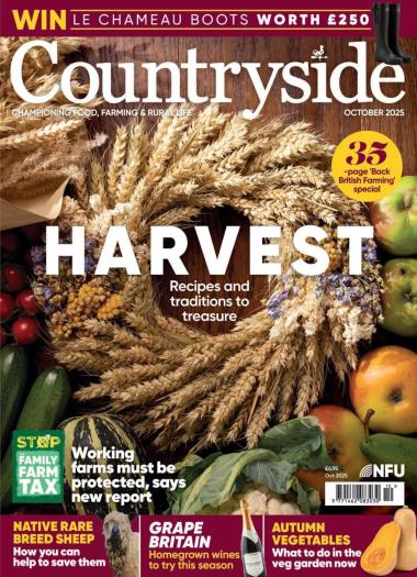Countryside - October 2025