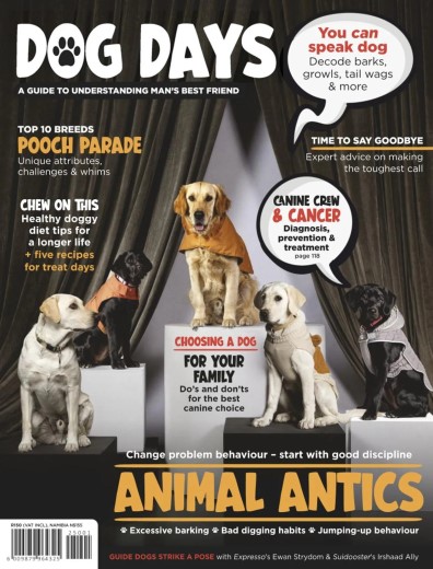 Dog Days - November 2025