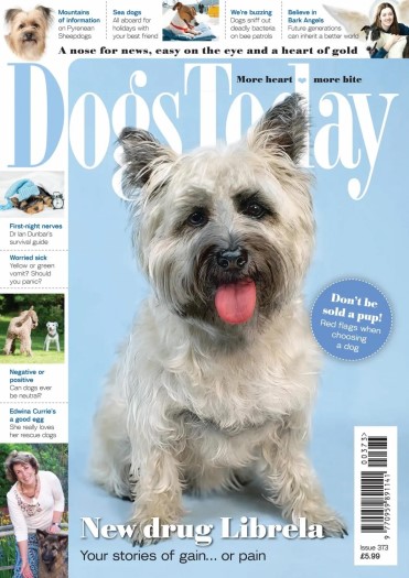 Dogs Today UK - Issue 373 2025