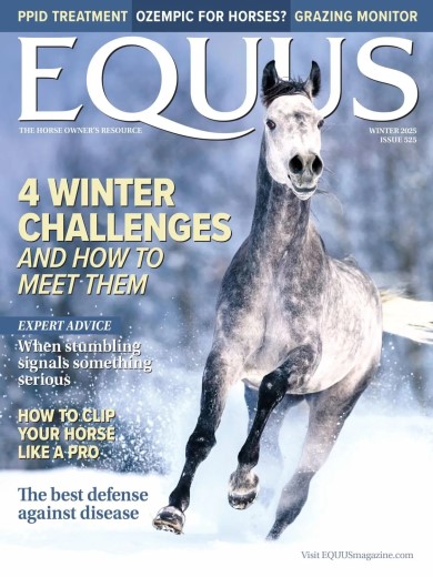 Equus - Winter 2025