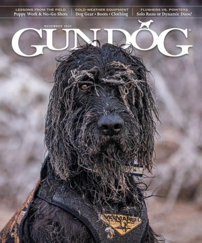 Gun Dog - November 2025