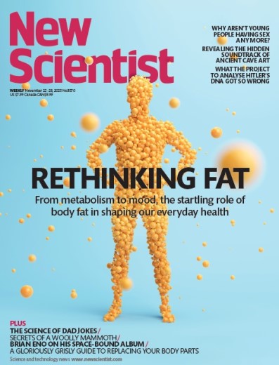 New Scientist US - No. 3570, 22 28 November 2025