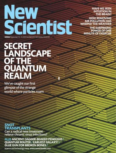 New Scientist USA - 13 September 2025