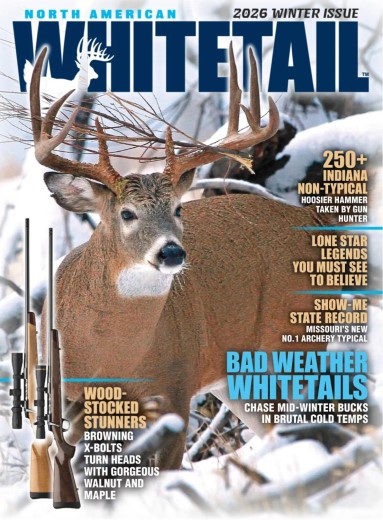 North American Whitetail - 4 December 2025