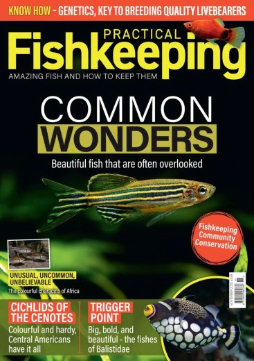 Practical Fishkeeping - November 2025