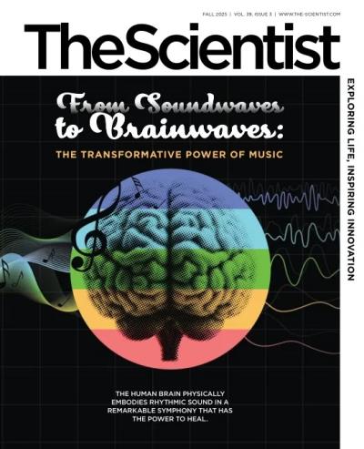 The Scientist - Fall 2025