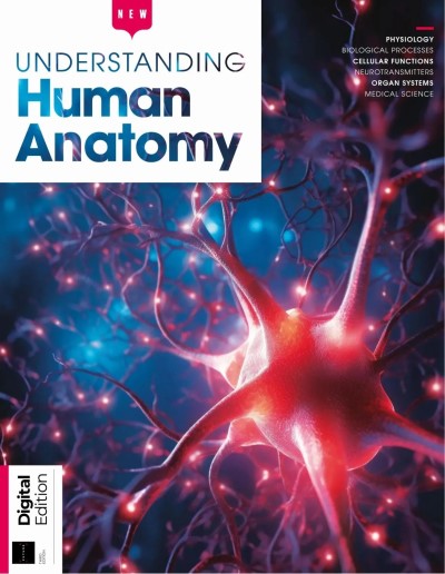 Understanding Human Anatomy - 3rd Edition - 16 October 2025
