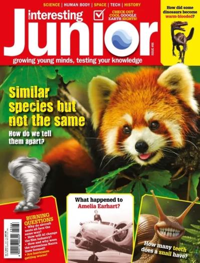 Very Interesting Junior - Issue 66, August 2025