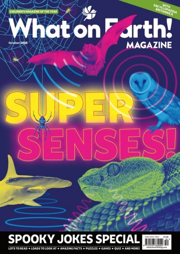 What on Earth! Magazine - October 2025