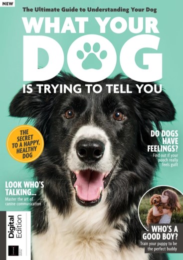 What Your Dog Is Trying To Tell You - 7th Edition - July 2025
