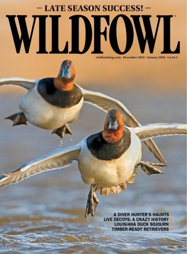 Wildfowl - Vol. 41, Issue 1, December 2025 January 2026